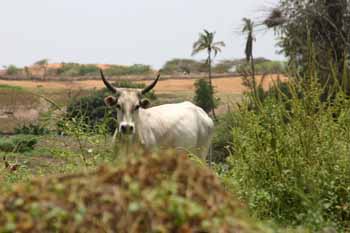 Richesse d'un village... Tourisme - 
